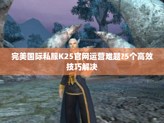 完美国际私服K25官网运营难题?5个高效技巧解决