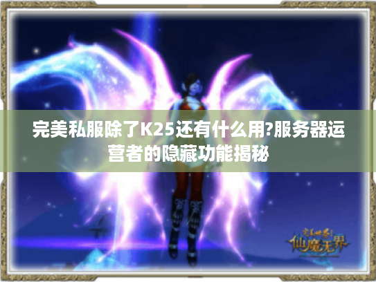 完美私服除了K25还有什么用?服务器运营者的隐藏功能揭秘