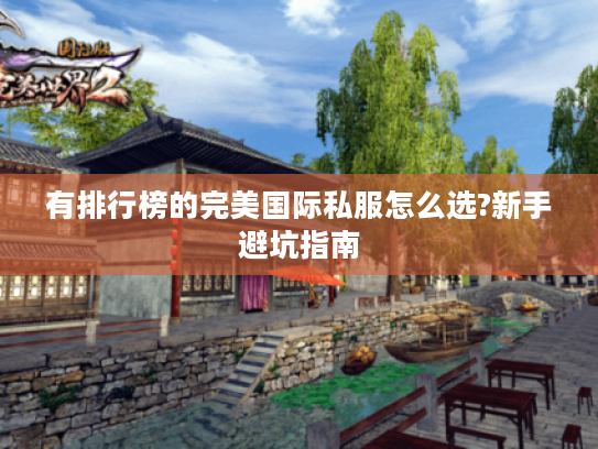 有排行榜的完美国际私服怎么选?新手避坑指南