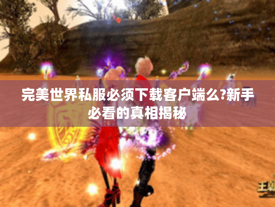 完美世界私服必须下载客户端么?新手必看的真相揭秘 完美世界私服必须下载客户端么?新手必看的真相揭秘