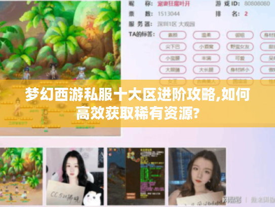 梦幻西游私服十大区进阶攻略,如何高效获取稀有资源?
