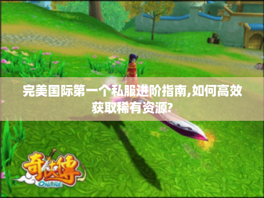 完美国际第一个私服进阶指南,如何高效获取稀有资源?