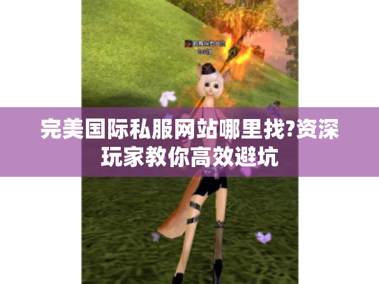 完美国际私服网站哪里找?资深玩家教你高效避坑