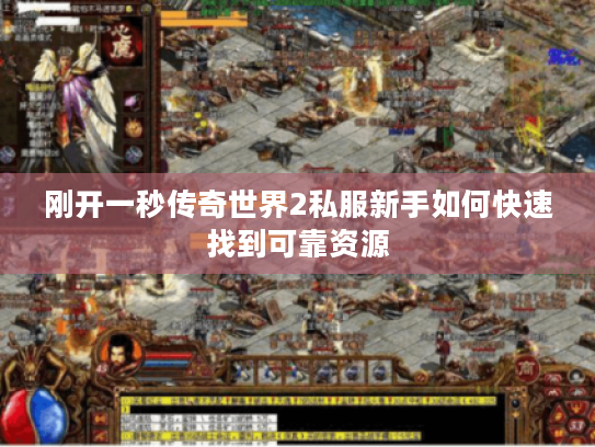 刚开一秒传奇世界2私服新手如何快速找到可靠资源