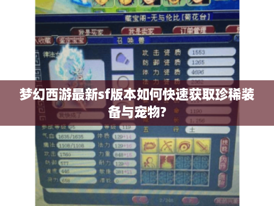 梦幻西游最新sf版本如何快速获取珍稀装备与宠物?