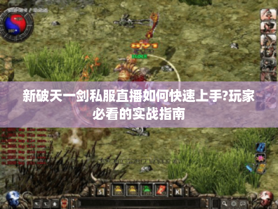 新破天一剑私服直播如何快速上手?玩家必看的实战指南
