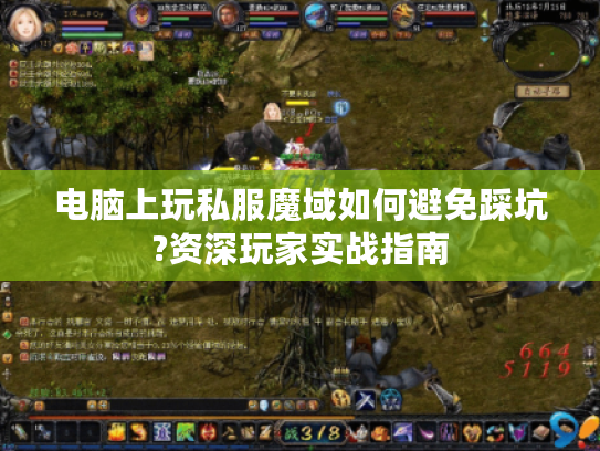 电脑上玩私服魔域如何避免踩坑?资深玩家实战指南