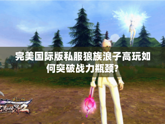 完美国际版私服狼族浪子高玩如何突破战力瓶颈?