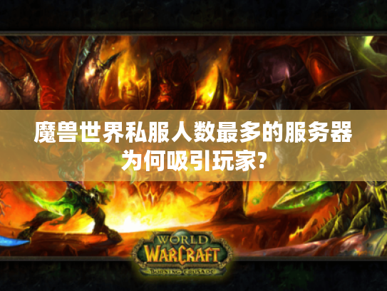 魔兽世界私服人数最多的服务器为何吸引玩家?
