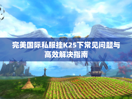 完美国际私服挂K25下常见问题与高效解决指南