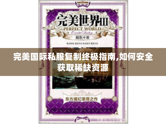 完美国际私服复制终极指南,如何安全获取稀缺资源 完美国际私服复制终极指南,如何安全获取稀缺资源
