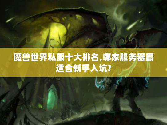魔兽世界私服十大排名,哪家服务器最适合新手入坑? 魔兽世界私服十大排名,哪家服务器最适合新手入坑?