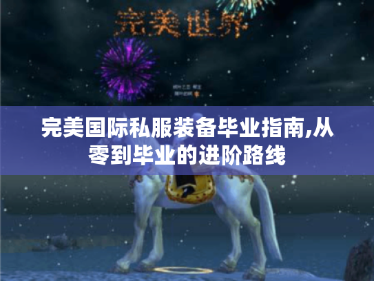 完美国际私服装备毕业指南,从零到毕业的进阶路线
