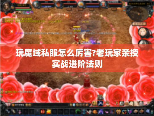 玩魔域私服怎么厉害?老玩家亲授实战进阶法则 玩魔域私服怎么厉害?老玩家亲授实战进阶法则