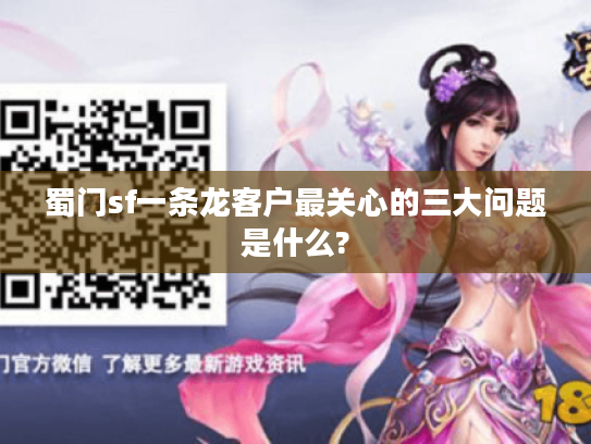 蜀门sf一条龙客户最关心的三大问题是什么?
