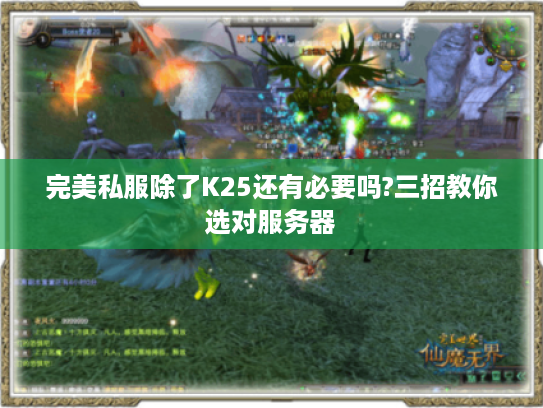 完美私服除了K25还有必要吗?三招教你选对服务器