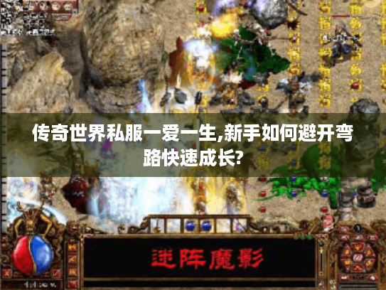 传奇世界私服一爱一生,新手如何避开弯路快速成长?