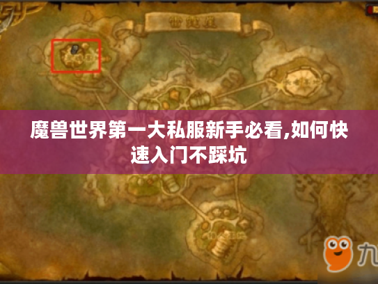 魔兽世界第一大私服新手必看,如何快速入门不踩坑
