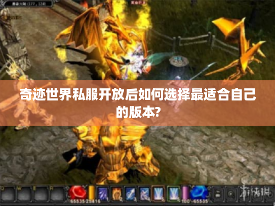 奇迹世界私服开放后如何选择最适合自己的版本?
