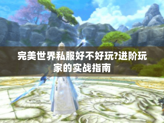 完美世界私服好不好玩?进阶玩家的实战指南