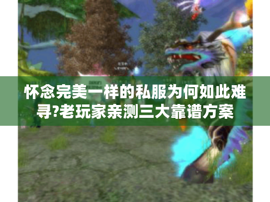 怀念完美一样的私服为何如此难寻?老玩家亲测三大靠谱方案