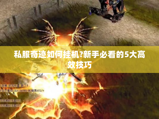 私服奇迹如何挂机?新手必看的5大高效技巧