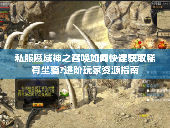 私服魔域神之召唤如何快速获取稀有坐骑?进阶玩家资源指南