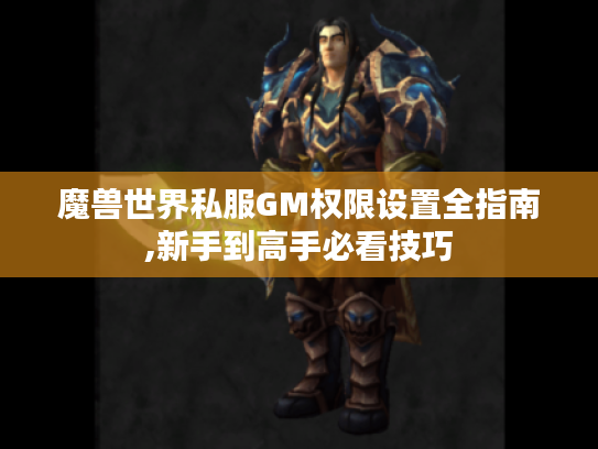魔兽世界私服GM权限设置全指南,新手到高手必看技巧 魔兽世界私服GM权限设置全指南,新手到高手必看技巧