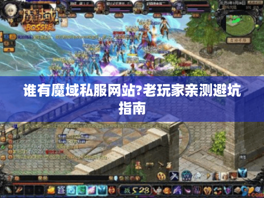 谁有魔域私服网站?老玩家亲测避坑指南