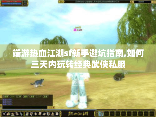 端游热血江湖sf新手避坑指南,如何三天内玩转经典武侠私服