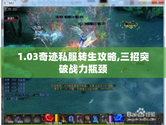 1.03奇迹私服转生攻略,三招突破战力瓶颈