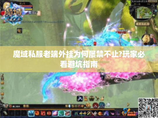 魔域私服老端外挂为何屡禁不止?玩家必看避坑指南