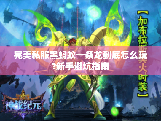 完美私服黑蚂蚁一条龙到底怎么玩?新手避坑指南