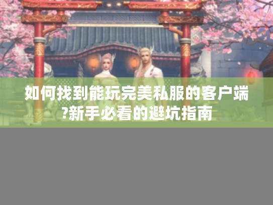 如何找到能玩完美私服的客户端?新手必看的避坑指南