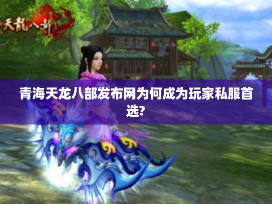 青海天龙八部发布网为何成为玩家私服首选?
