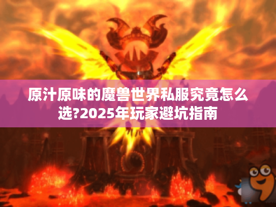 原汁原味的魔兽世界私服究竟怎么选?2025年玩家避坑指南