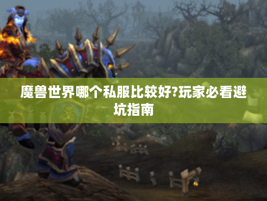 魔兽世界哪个私服比较好?玩家必看避坑指南