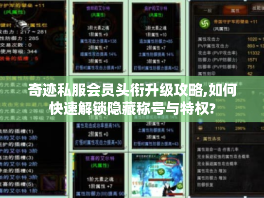 奇迹私服会员头衔升级攻略,如何快速解锁隐藏称号与特权?