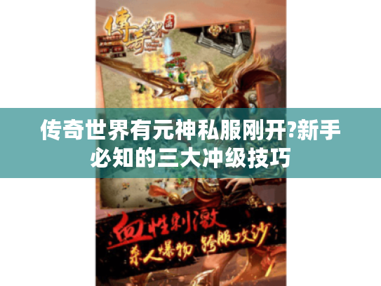 传奇世界有元神私服刚开?新手必知的三大冲级技巧