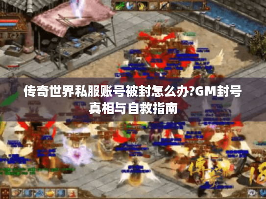 传奇世界私服账号被封怎么办?GM封号真相与自救指南