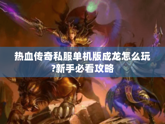 热血传奇私服单机版成龙怎么玩?新手必看攻略
