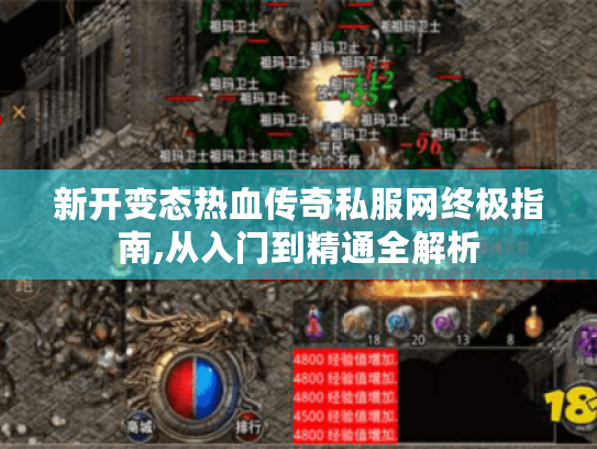 新开变态热血传奇私服网终极指南,从入门到精通全解析