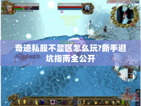 奇迹私服不显区怎么玩?新手避坑指南全公开 奇迹私服不显区怎么玩?新手避坑指南全公开