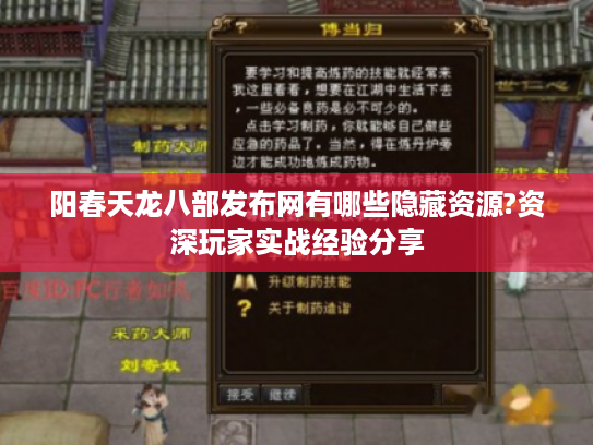 阳春天龙八部发布网有哪些隐藏资源?资深玩家实战经验分享