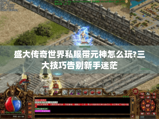 盛大传奇世界私服带元神怎么玩?三大技巧告别新手迷茫