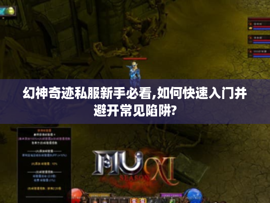 幻神奇迹私服新手必看,如何快速入门并避开常见陷阱?