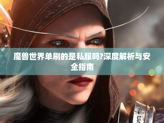 魔兽世界单刷的是私服吗?深度解析与安全指南