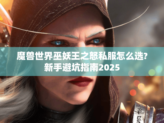 魔兽世界巫妖王之怒私服怎么选?新手避坑指南2025