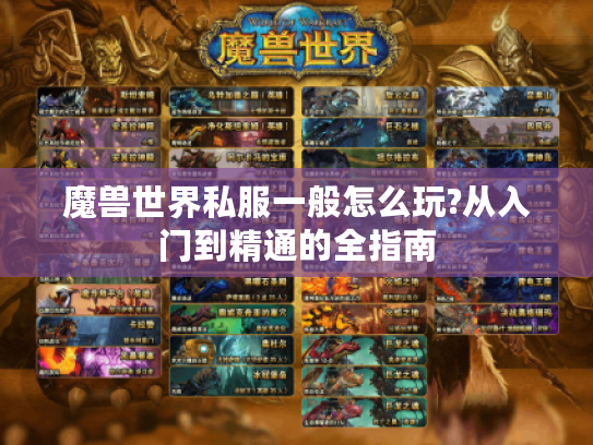 魔兽世界私服一般怎么玩?从入门到精通的全指南