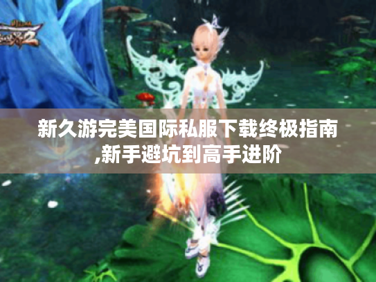 新久游完美国际私服下载终极指南,新手避坑到高手进阶